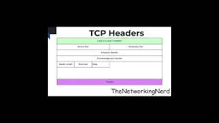 TCP Flags 