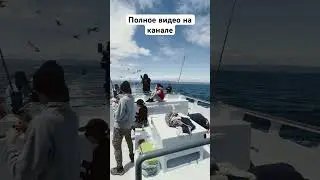 Прекрасный вид с рыбацкого судна на Тиxом океане