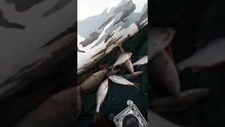 Хорошая рыбалка в Мелькене.