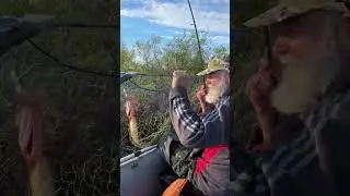 Щука за щукой.