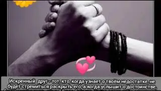 Искренный друг!