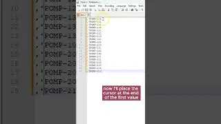 Fatest Way to Format Data in Bulk for SQL - Productivity Tip - Siva Koya 