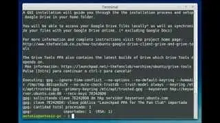 Google Drive Client - Ubuntu / Linux Mint - Install Grive tools // Instalar Grive Tools