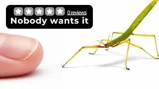 I Ordered 0 Review Pets Online And Raised Them For 300 Days