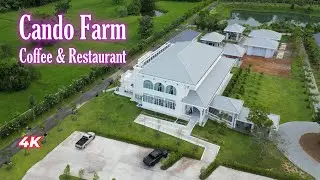 Cando Farm Coffee & Restaurant 4K #Thailand #CandoFarm #asmr #ไร่แคนดูคาเฟ่ 200 ล้าน