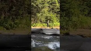 Trip Against the Current