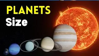 Universe SIZE Comparison 3D Animation 2024