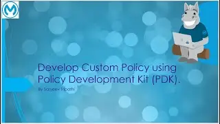 Flex Gateway Part VIII - Develop Custom Policy using Flex Gateway Policy Development Kit (PDK).
