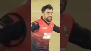 rashid khan wicket psl 8 #shorts #youtubeshorts #cricket #psl8