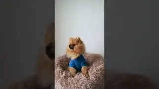Sevimli Tipsiz yumoş