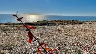 ah_astakhova В воздухе пахло дождём, но не было туч....Читает Илика