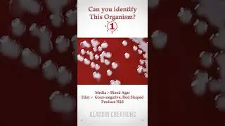 Can you guess these Colonies ? 🤔🧐🤓 #quiz 336  #shorts