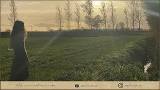Die Kraft des Herbstes | Beete Anlegen, Mulchen & Winterfest machen | VLOG30