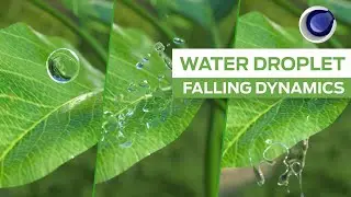 Cinema 4D Tutorials l Realflow Simulation | Dynamic | Water Droplet Falling