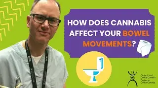 How Does Cannabis Affect Your Bowel Movements?