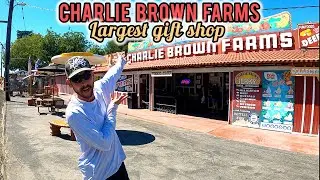 Charlie Brown Farms🍖Largest gift shop #charliebrownfarms