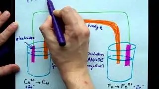 What's the Anode, Cathode, and Salt Bridge?