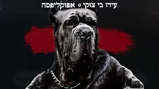 עידו בי וצוקי & אפוקליפסה - קודם כל המשפחה / Ido B Zooki & Apocalipsa - Kodem Kol Hamishpaha