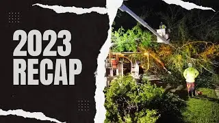 A Year in the Life of an ISA Certified Arborist | 2023 Recap