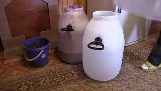 Сбор винограда для красного вина