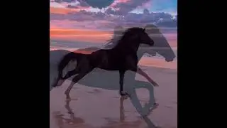 СКАКУНЫ 