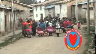 SOLITARIA  DEL SUR   -    TEMA  : SAPATITO  BAYO