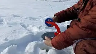На рыбалке в глухозимье.