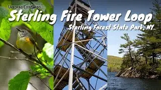 Sterling Fire Tower Loop Hike | Sterling Forest State Park, NY