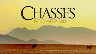 Chasse Internationales N°12