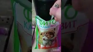 чем кормить щенка?