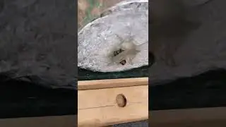 Бронестёкла Хаммера спасают жизни украинским воинам 👍 