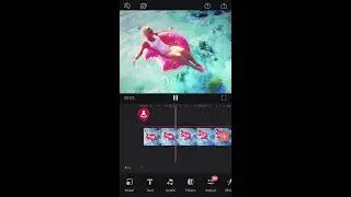 Enlight Videoleap: How to Work with Tone Lab