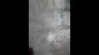 Обзор куклы мгнстер хай хоулин вульф