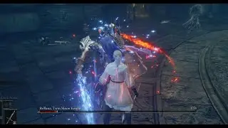 Elden Ring - Rellana [Parry/No Hit/NG+2] 1:15:12 (PB)