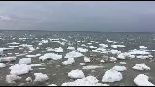 Arctic Ocean! On the ice floe