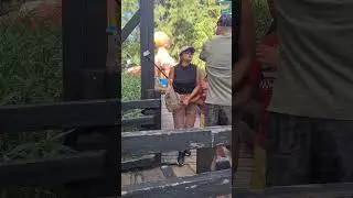 #shorts