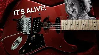 The Frankenstrat is BACK!  Oh, that beautiful 3A Birdseye!