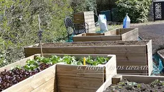 15. Hugel Beds Update