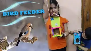 How to make a Bird Feeder (#homemadebirdfeeder)