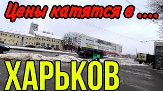 ХАРЬКОВ 16.01.24 ПО ГОРОДУ ПРОМЧАЛ ОЛЕНЬ…