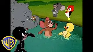 Tom y Jerry en Latino | ¡Amigos animales! 🐘🦭 | Animales al poder | 