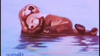 Otter #Meta-Sin