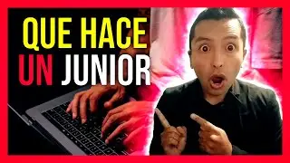 🔥COMO Es la VIDA De Un Programador Junior SIN Experiencia en 2024