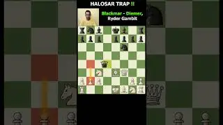 Halosar trap | Ryder gambit | Chess Vaasam 