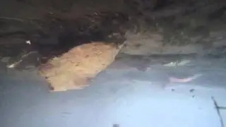 Gopro falls off toy boat and falls down mini waterfall