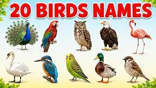 20 Birds Names for Kids 🐦 | Learn Bird Names with Pictures | Birds Vocabulary for Children