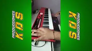 ROLAND XPS10 SAMPLES