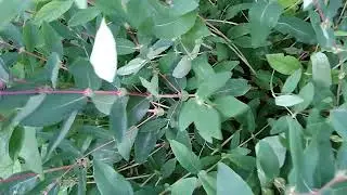 #Омоложение