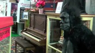 Urban Gorilla Downtown Part 4