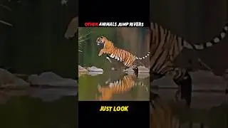 Puma's Incredible Jump Across the River! 